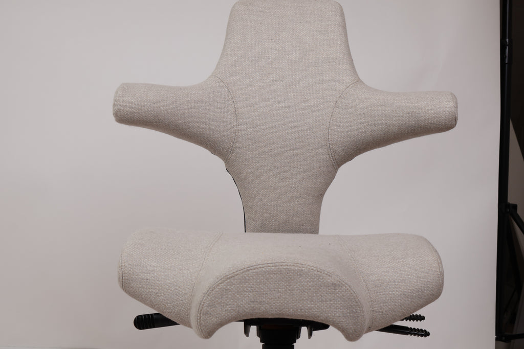 HÅG Capisco 8106 (#131) – Beige Amdal 325